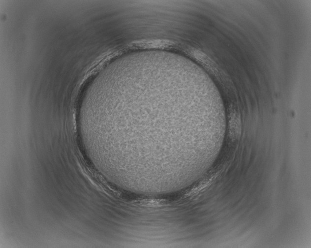 X0000081620254200702121647