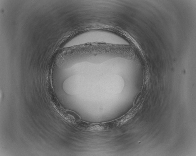 X0000081620257200702121647