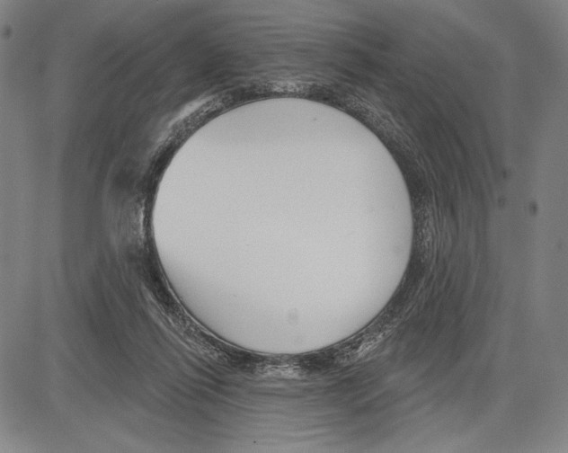 X0000081620262200702121647