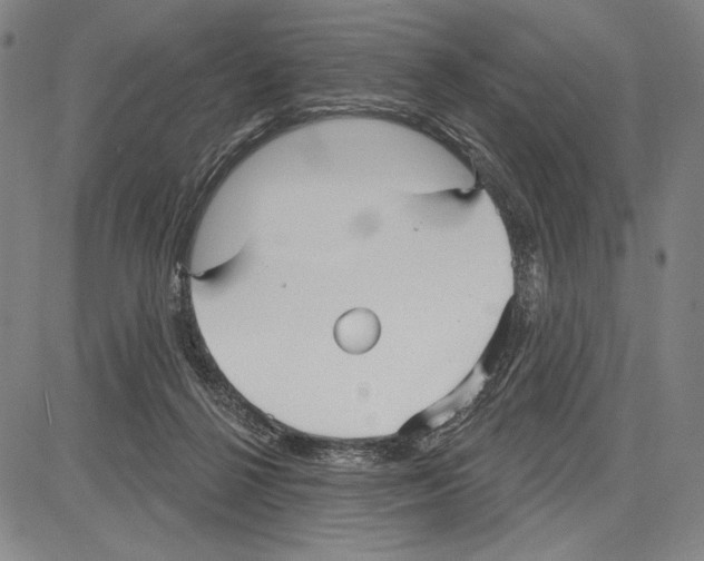 X0000081620264200702121647