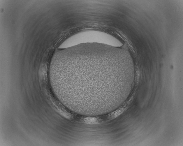 X0000081620265200702121647