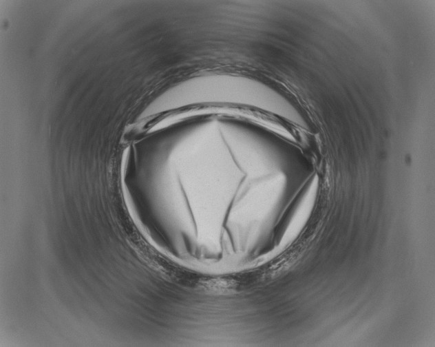 X0000081620269200702121647