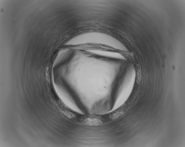 X0000081620270200702121647