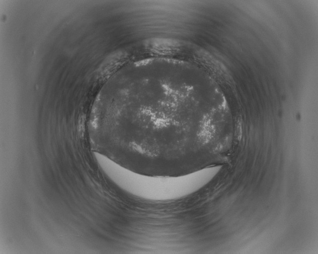 X0000081620271200702121647