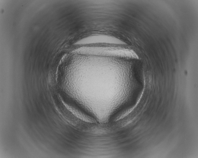 X0000081620272200702121647