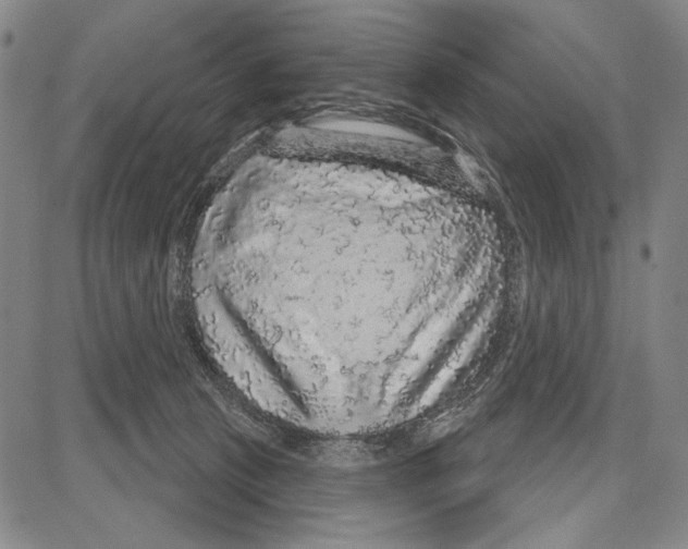 X0000081620273200702121647