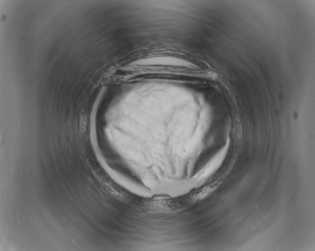 X0000081620281200702121647