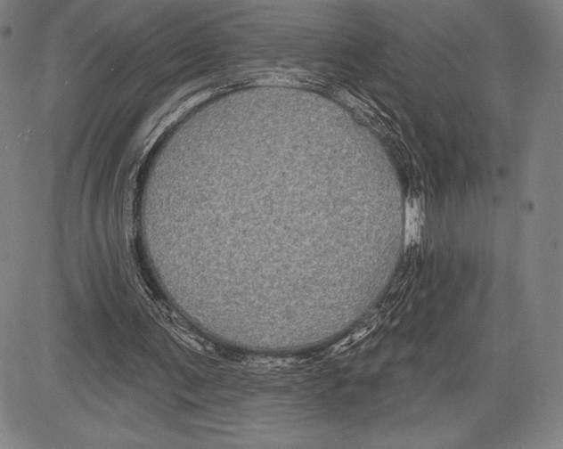 X0000081620291200702121646