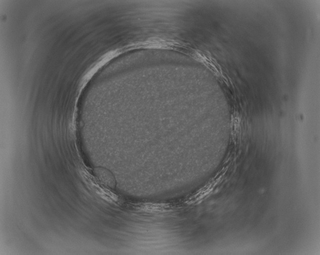 X0000081620292200702121646