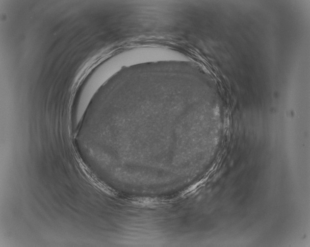 X0000081620293200702121646