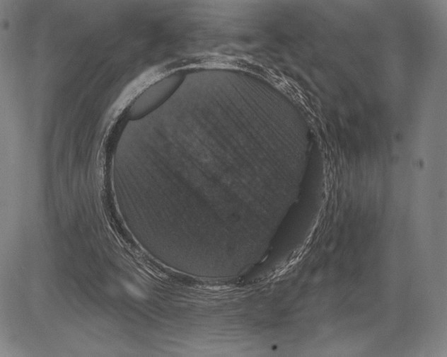 X0000081620295200702121646