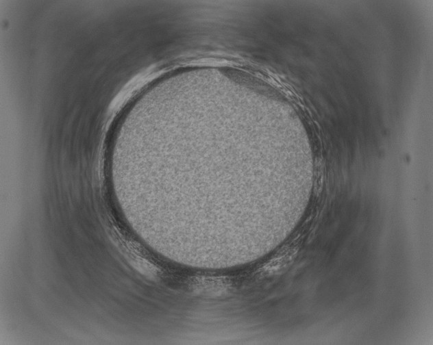 X0000081620296200702121646