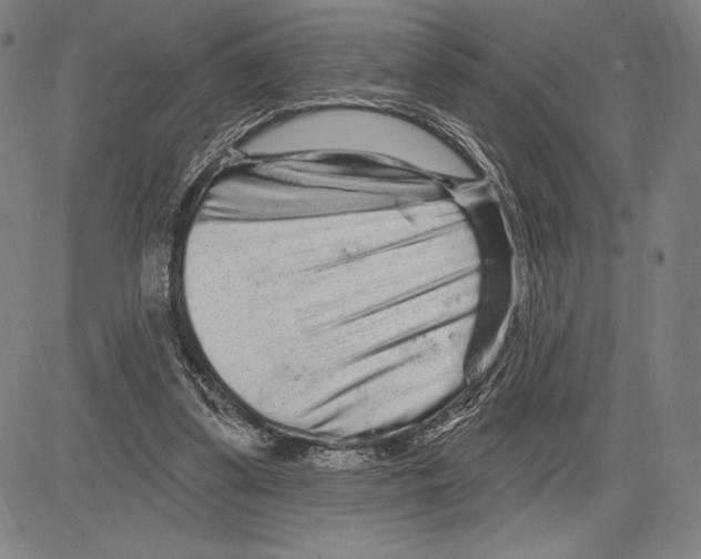 X0000081620299200702121646