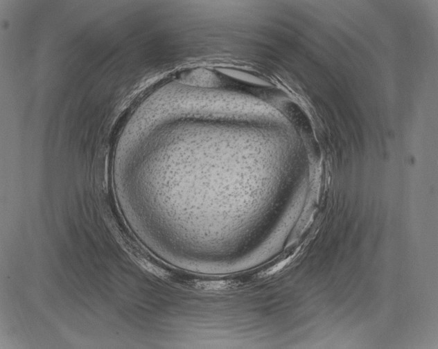 X0000081620301200702121646