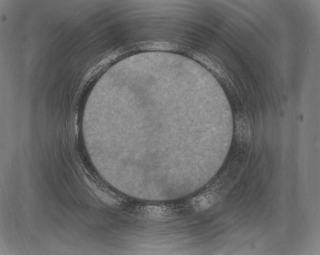 X0000081620302200702121646