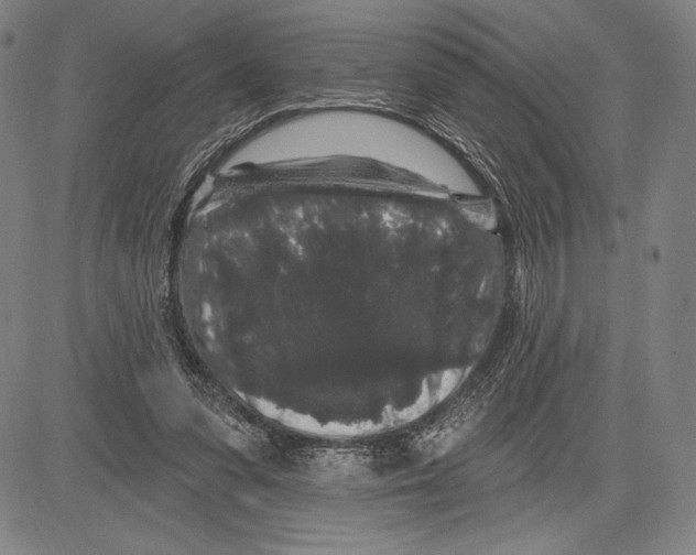 X0000081620303200702121646