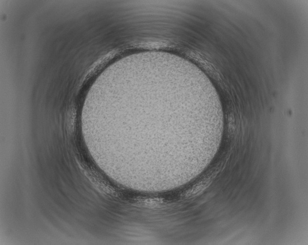 X0000081620304200702121646