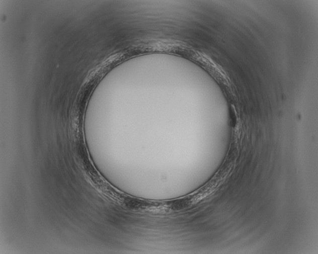 X0000081620306200702121646
