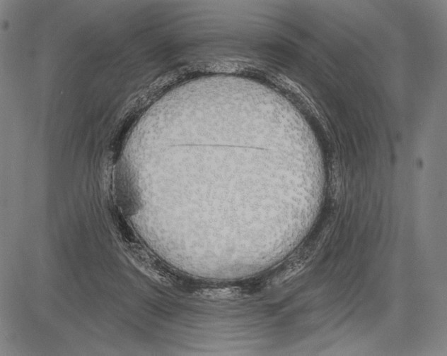 X0000081620307200702121646