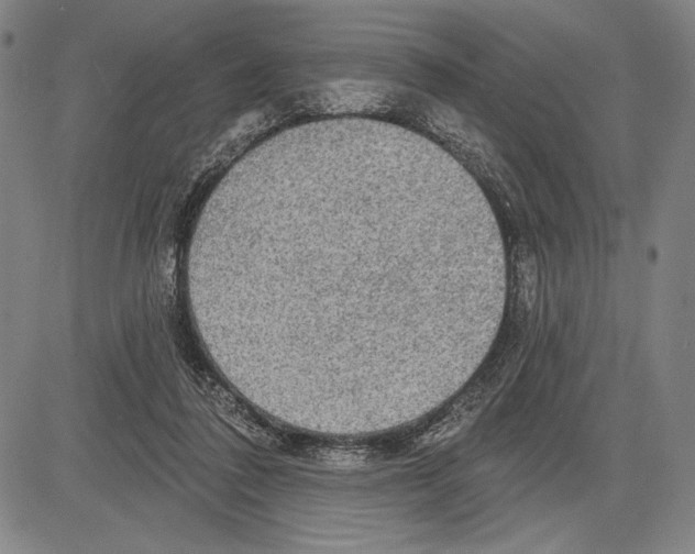 X0000081620308200702121646