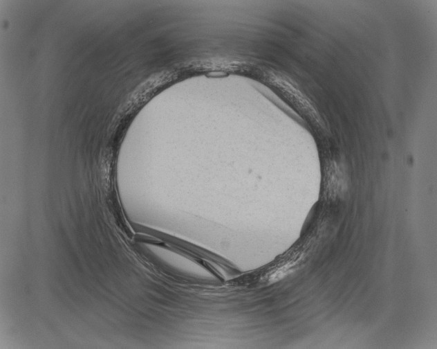 X0000081620309200702121646