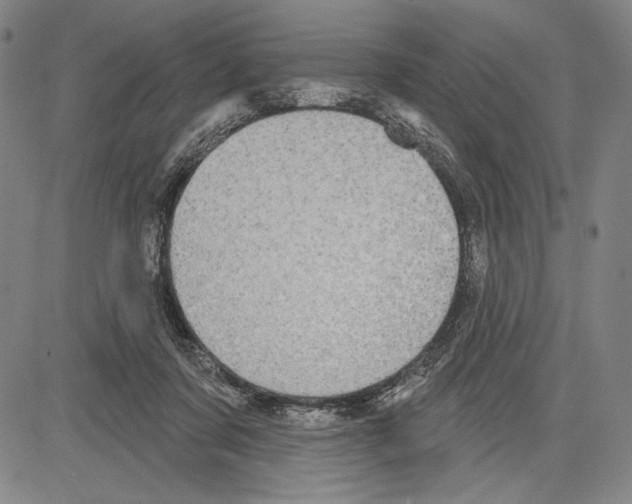 X0000081620311200702121646