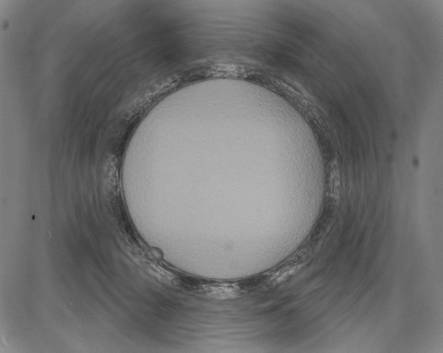 X0000081620318200702121646