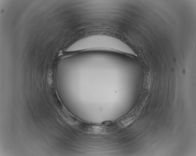 X0000081620323200702121646