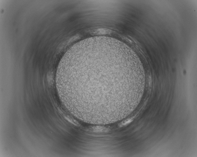 X0000081620326200702121646