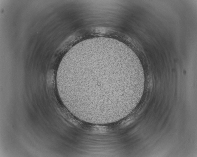 X0000081620328200702121646