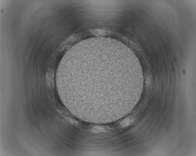 X0000081620332200702121646