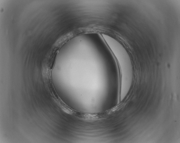 X0000081620333200702121646