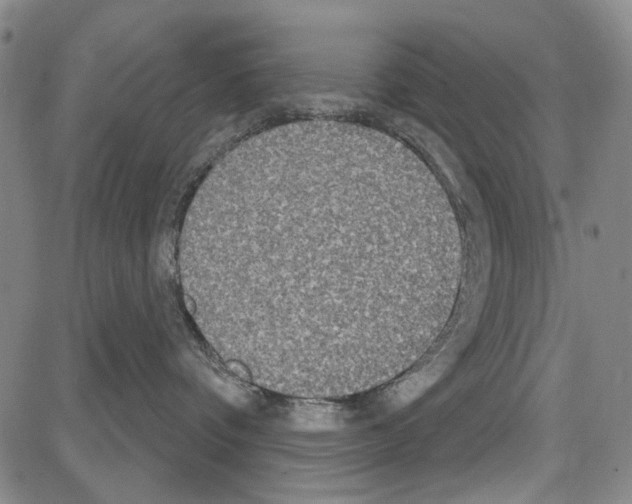 X0000081620336200702121646