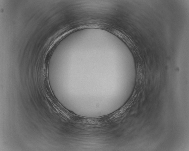 X0000081620338200702121645