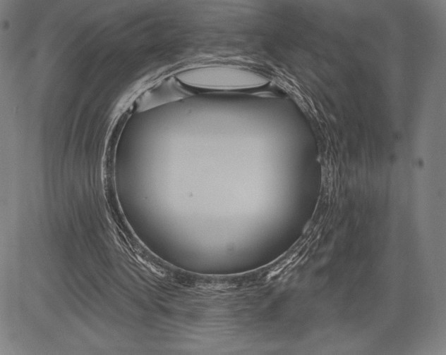 X0000081620340200702121645