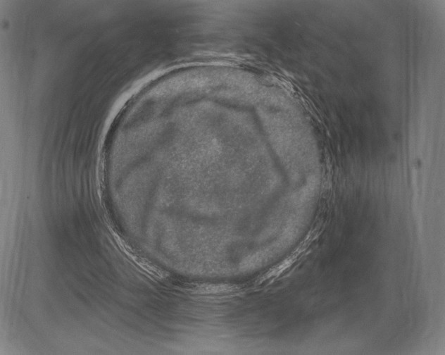 X0000081620342200702121645