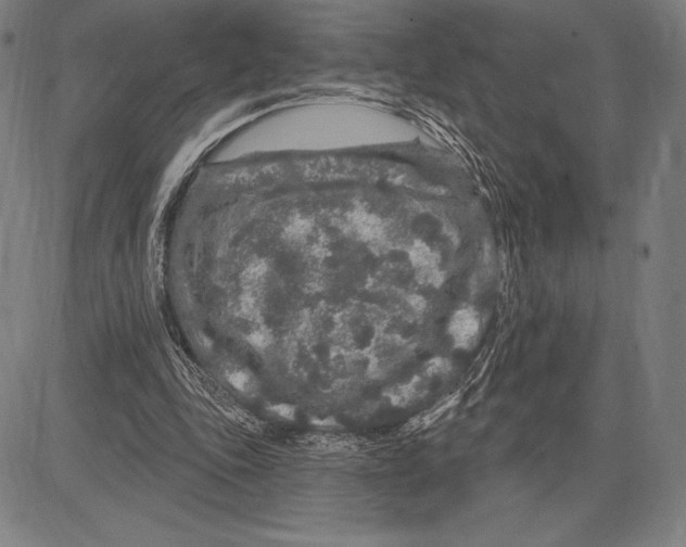 X0000081620343200702121645