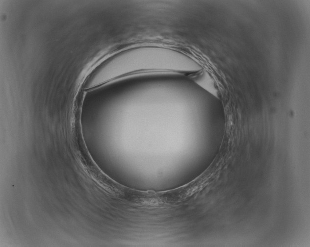 X0000081620344200702121645
