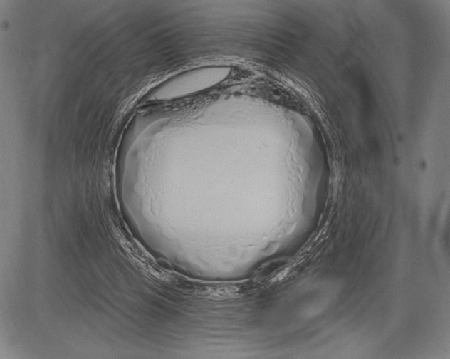 X0000081620345200702121645