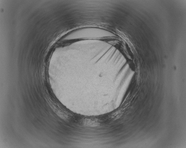 X0000081620346200702121645