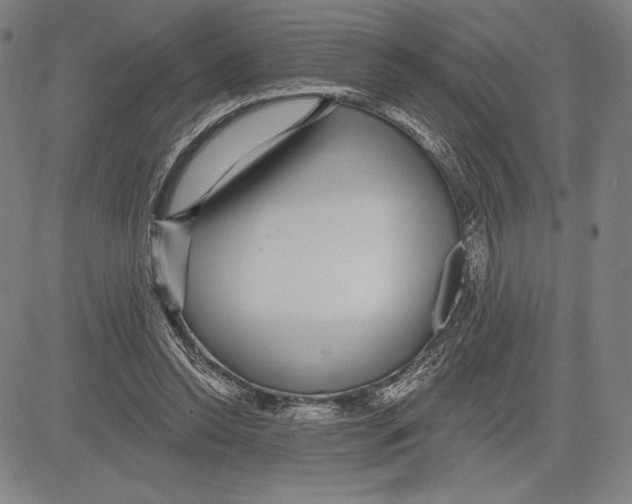 X0000081620350200702121645