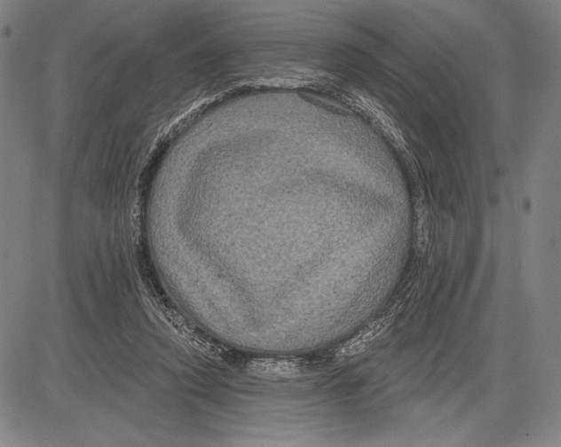 X0000081620354200702121645