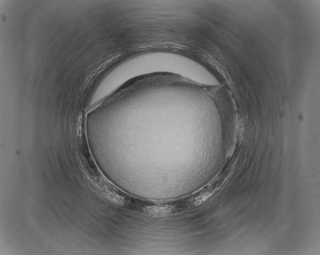 X0000081620356200702121645