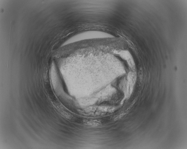 X0000081620359200702121645