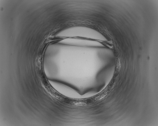 X0000081620360200702121645