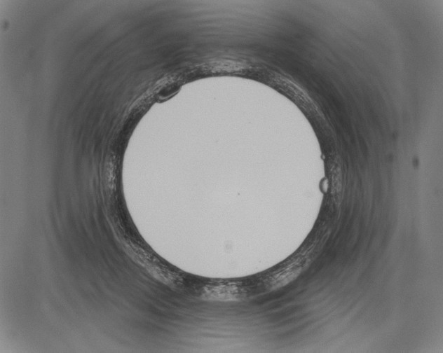 X0000081620362200702121645