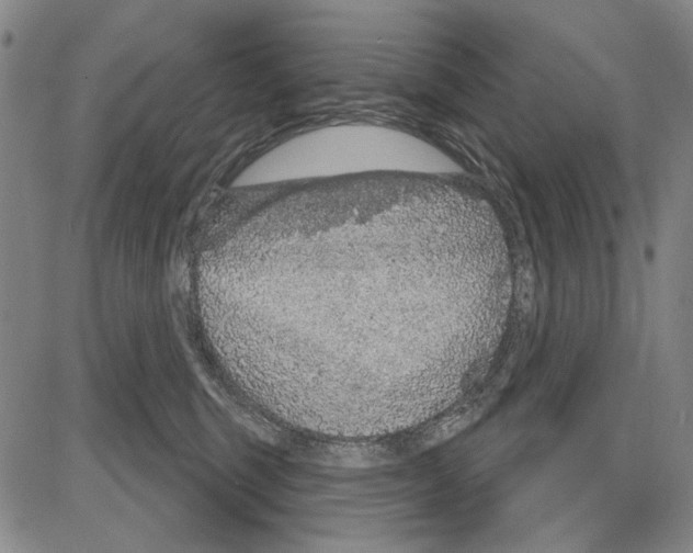 X0000081620375200702121646