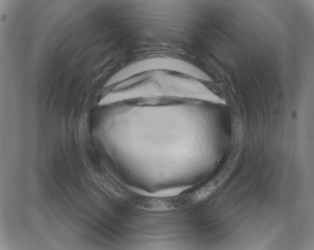X0000081620376200702121646