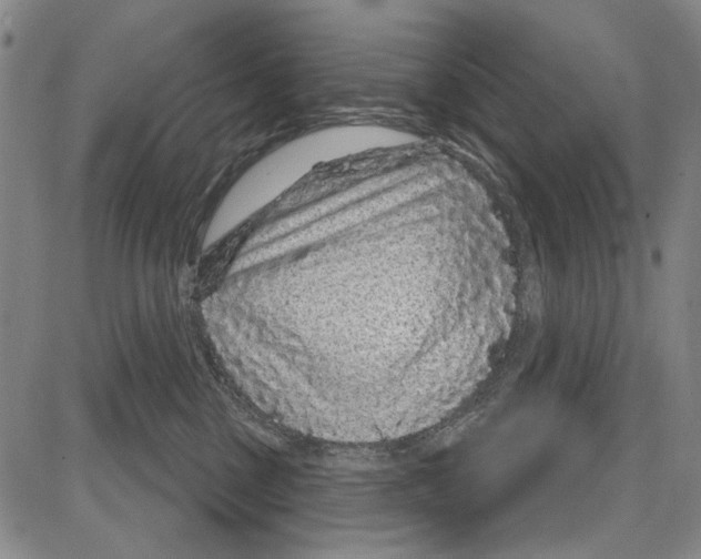 X0000081620377200702121646