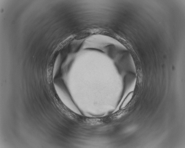 X0000081620378200702121646